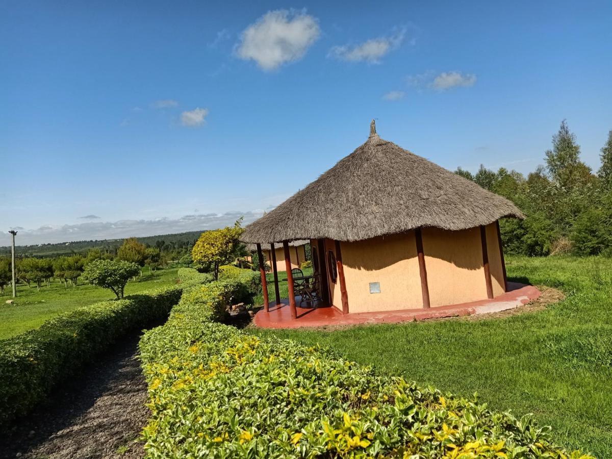 The Great Circle Lodge 나뉴키 외부 사진