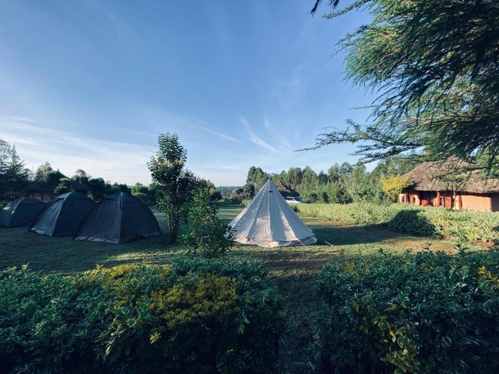The Great Circle Lodge 나뉴키 외부 사진